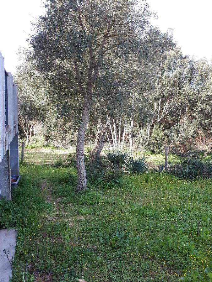 Villa Casa Gattu Porto-Vecchio  Exterior foto