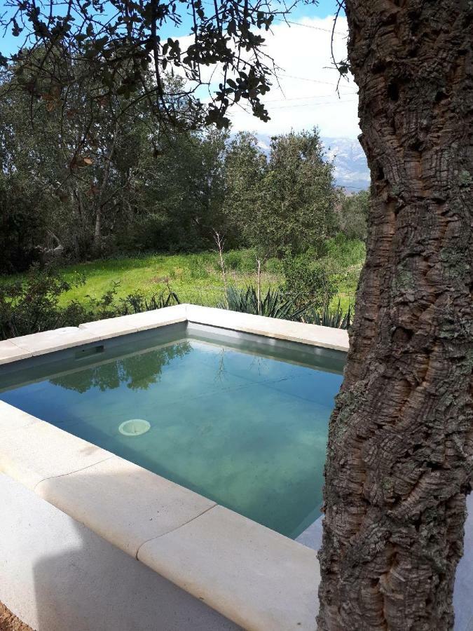 Villa Casa Gattu Porto-Vecchio  Exterior foto
